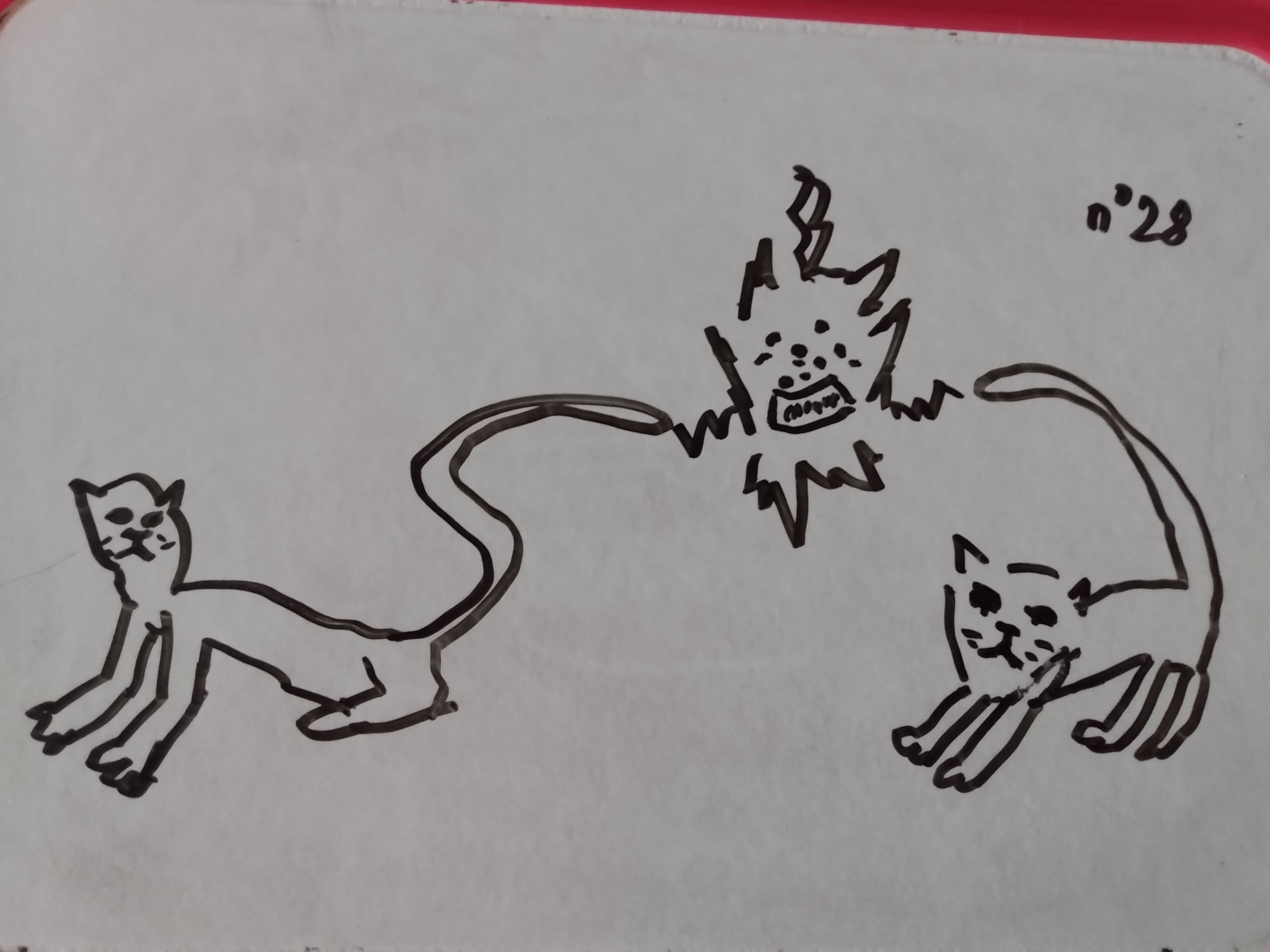 Deux chats utilisent leur pouvoir électrique pour zappouiller le bol de croquettes